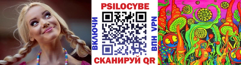 дарнет шоп  Гаджиево  Псилоцибиновые грибы Psilocybe 