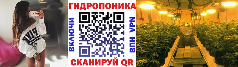 Бошки Шишки индика  Гаджиево 
