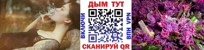 Марихуана сатива Гаджиево